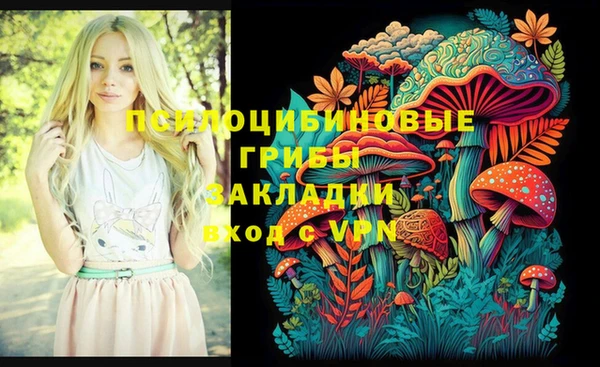 гидра Абинск