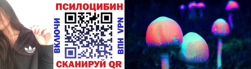 где можно купить наркотик  Электросталь  Псилоцибиновые грибы прущие грибы 