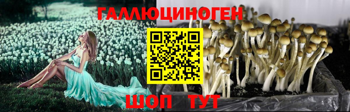 Электросталь  Галлюциногенные грибы мухоморы  где найти   Псилоцибиновые грибы мухоморы  Вход с VPN 
