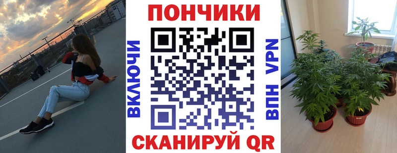 площадка как зайти  Электросталь  МАРИХУАНА план 